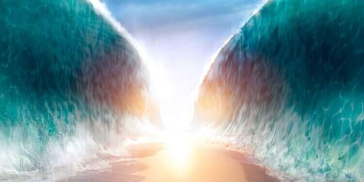 צילום: שאטרסטוק ללמדם חוק ומשפט: הנפש זקוקה לתהליך