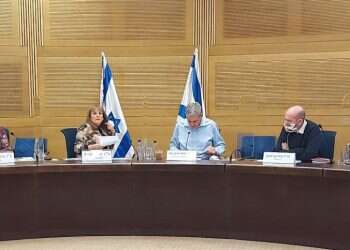 "ישראל מתעלמת ומתפשרת": בכנסת דנו במזימת ההשתלטות הפלסטינית על שטחי C