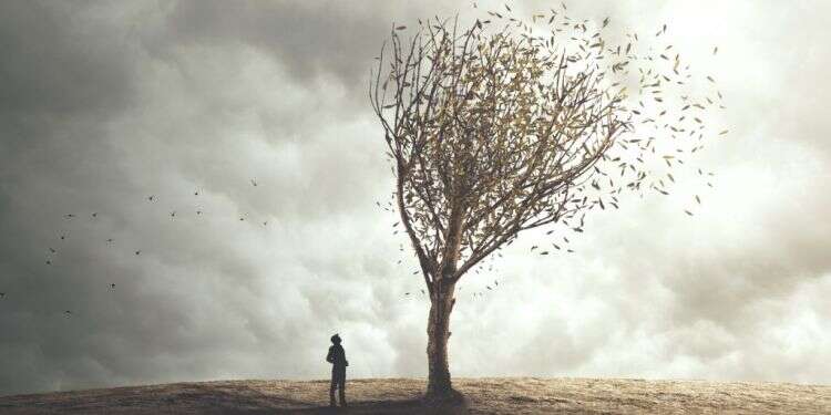 צילום: שאטרסטוק חודש שבט: חוקיות הצמיחה