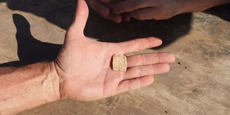 הקמע שנמצא בהר עיבל לאחר הסינון. צילום: רועי חדי, דוברות שומרון קמע יהודי עתיק נמצא בשומרון, עדות נוספת לזיהוי הארכיאולוגי של מזבח יהושע