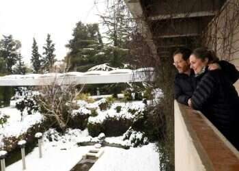 סערה פוליטית: ח"כים ושרים משתעשעים בשלג