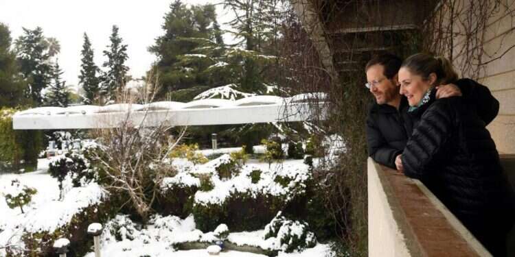 סערה פוליטית: ח"כים ושרים משתעשעים בשלג