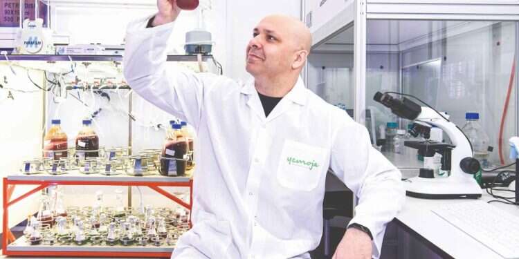 החברה מהצפון שהצליחה להוסיף דם מלאכותי להמבורגר טבעוני