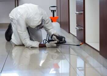 הדברת מזיקים