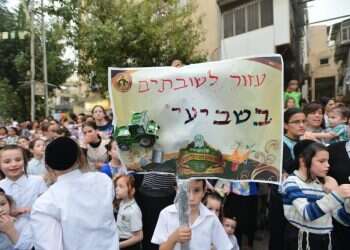 תהלוכת תמיכה בחקלאים השובתים בשמיטה, בני ברק, 2015. צילום: יוסי זליגר "הנינים שלנו עוד ישלמו על החובות של הקורונה"
