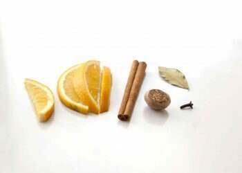 סוד הקינמון ששיגע את האירופאים