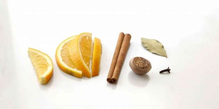 סוד הקינמון ששיגע את האירופאים