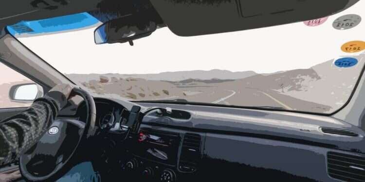 צילום: שאטרסטוק צילום: שאטרסטוק