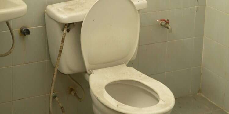 צילום: שאטרסטוק ביהמ"ש העליון האיטלקי: אסלה רועשת – הפרת זכויות אדם