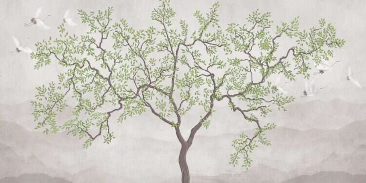 איור: שאטרסטוק