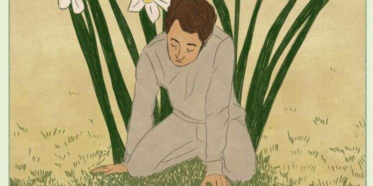 איור: שרון ארדיטי איור: שרון ארדיטי