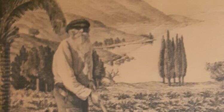 איור: אהרון הלוי, באדיבות בית גורדון