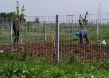 המדינה ציוותה להרוס מתחמי נופש שהוקמו באדמה חקלאית בגליל, אך מחברת למים את השאר 