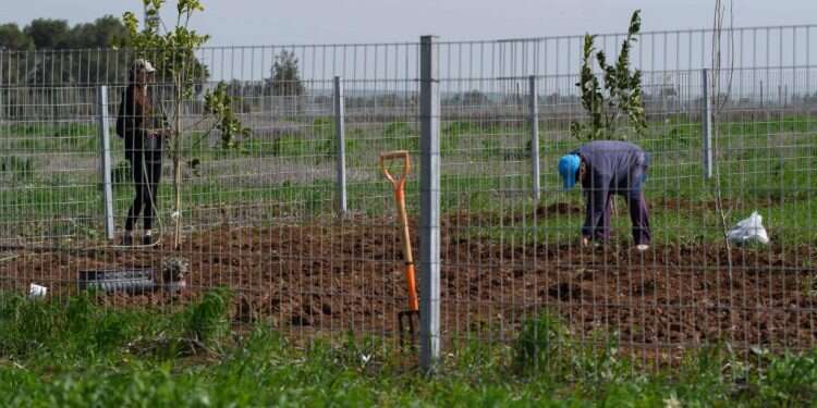 המדינה ציוותה להרוס מתחמי נופש שהוקמו באדמה חקלאית בגליל, אך מחברת למים את השאר 