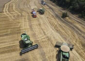 בגלל העימות באוקראינה: במצרים חוששים מעליית מחיר הלחם ורעב המוני