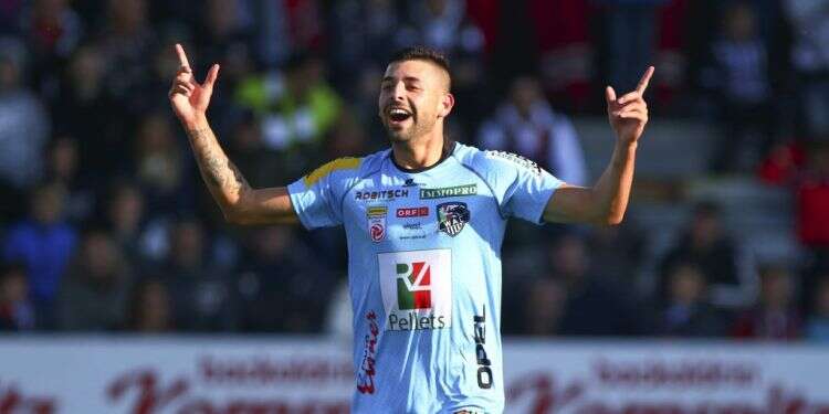 תאי בריבו. צילום: גטי אימג'ס