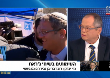 אפילו לא שיח חרשים: השתיקה של אברמוביץ' מספרת הכול