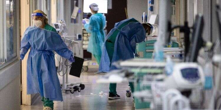 560 נפטרים בתוך חודש: מדיניות האומיקרון גבתה את המחיר הצפוי