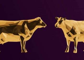 טריוויה שבועית: היישר מהרפת