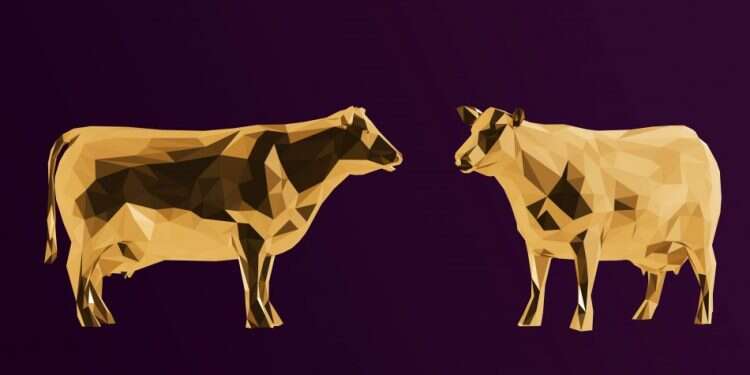 טריוויה שבועית: היישר מהרפת