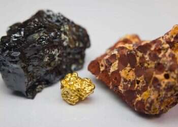 צילום: שאטרסטוק