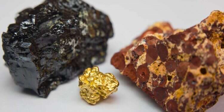 צילום: שאטרסטוק