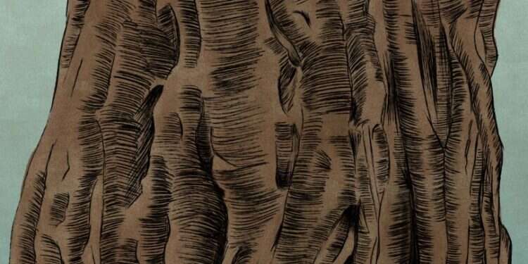 איור: שרון ארדיטי איור: שרון ארדיטי