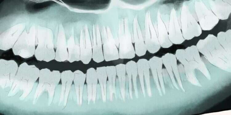 איור: שרון ארדיטי