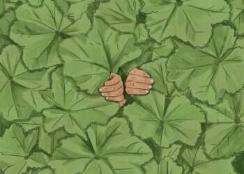 איור: שרון ארדיטי