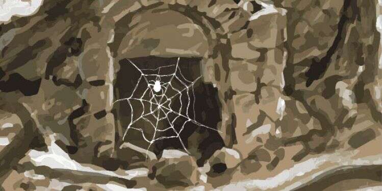 איור: שאטרסטוק