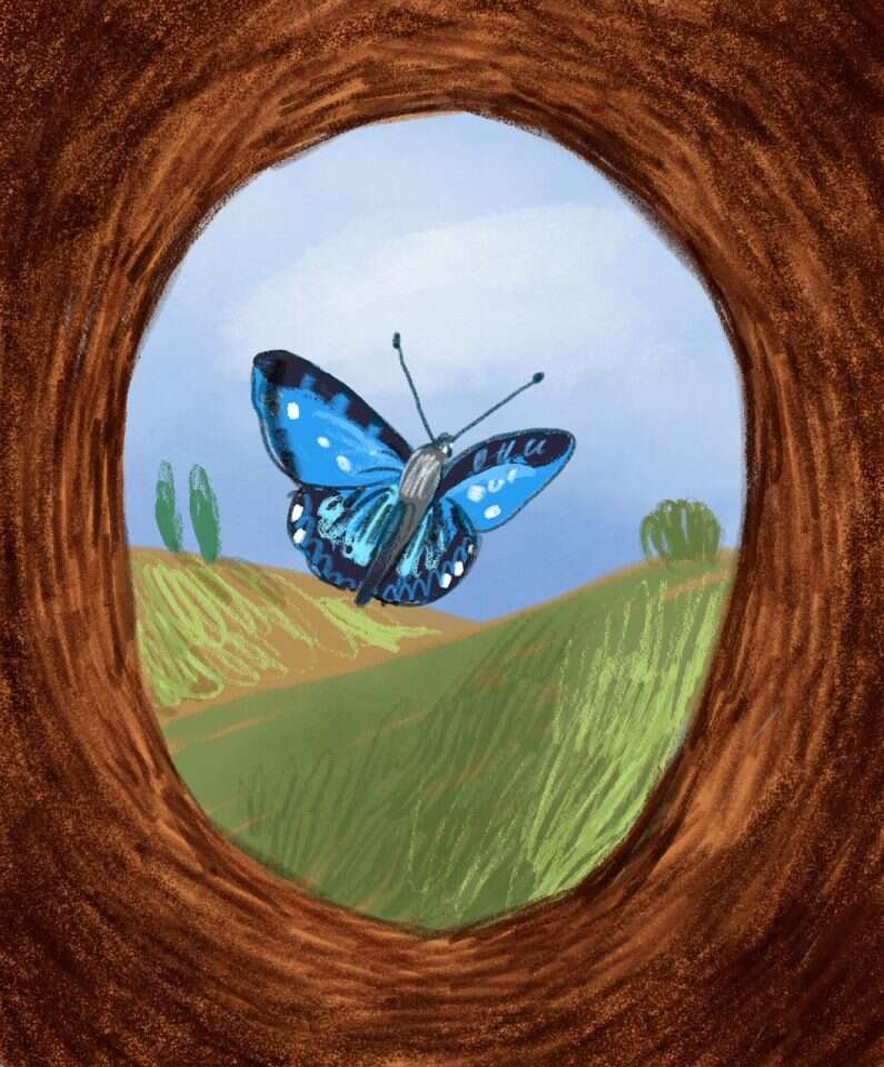 איור: נועה קלנר