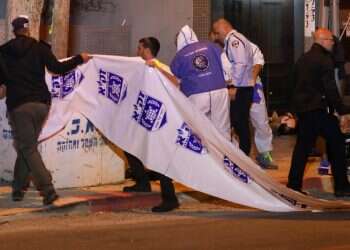 הקלות בנשיאת נשק? לא אם תשאלו את מרב מיכאלי