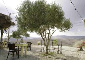 תמונת המראה של השמאל מציגה עולם דיכוטומי חסר פשרות