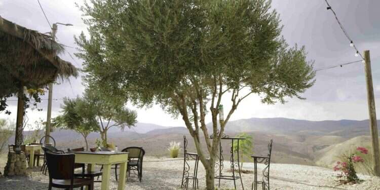 תמונת המראה של השמאל מציגה עולם דיכוטומי חסר פשרות