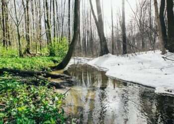 ולפעמים החגיגה נגמרת