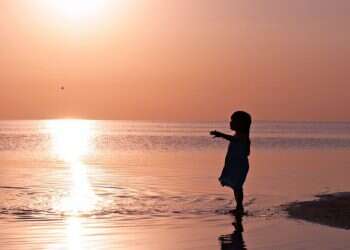 כל המשפחות המאושרות (ו)