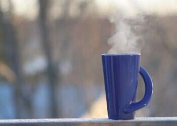 כל המשפחות המאושרות (ד)