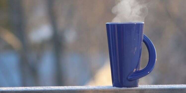 צילום: שאטרסטוק כל המשפחות המאושרות (ד)