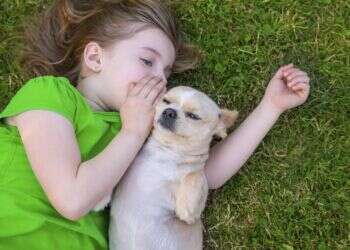 "קל לי יותר לתקשר עם חיות"