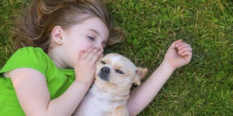 צילום: שאטרסטוק "קל לי יותר לתקשר עם חיות"