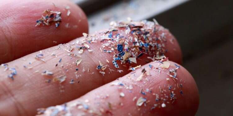 עלול להיות מסרטן. חלקיקי פלסטיק. צילום: שאטרסטוק מצמיחים פתרון אקולוגי: כוחה של הבמיה