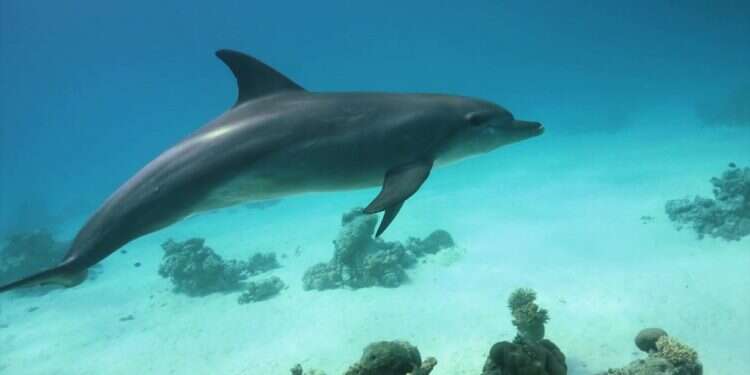 צילום: שאטרסטוק