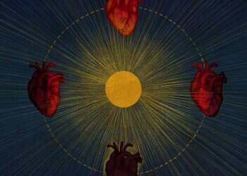 איור: שרון ארדיטי