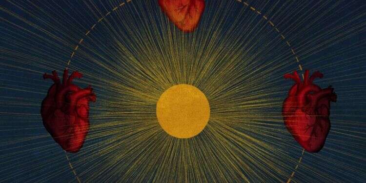 איור: שרון ארדיטי איור: שרון ארדיטי