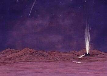 איור: שרון ארדיטי איור: שרון ארדיטי