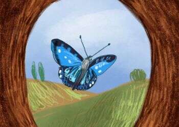 איור: נועה קלנר