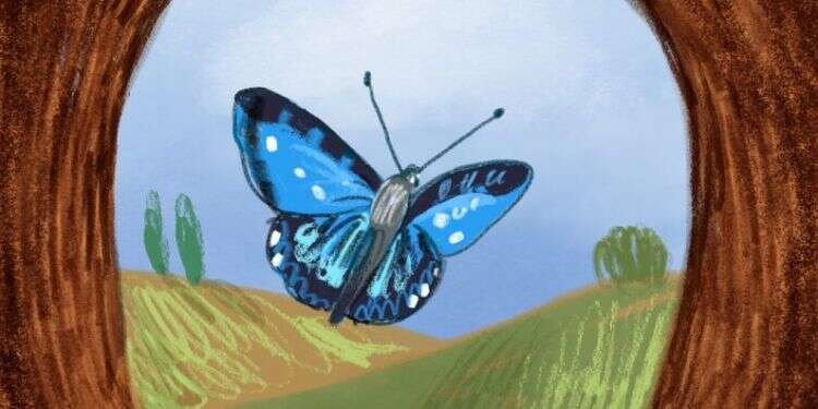 איור: נועה קלנר איור: נועה קלנר