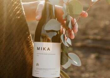 יין, ג'ין וחברים: אלכוהול ששווה להכיר לקראת חג הפורים