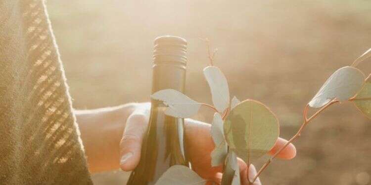 צילום: אלומה משולמי יין, ג'ין וחברים: אלכוהול ששווה להכיר לקראת חג הפורים