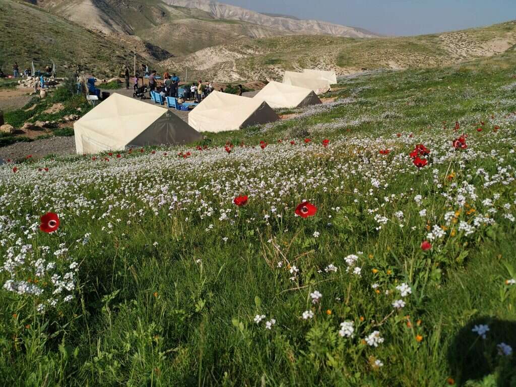 חאן ארץ הצבי. צילום: ארץ הצבי